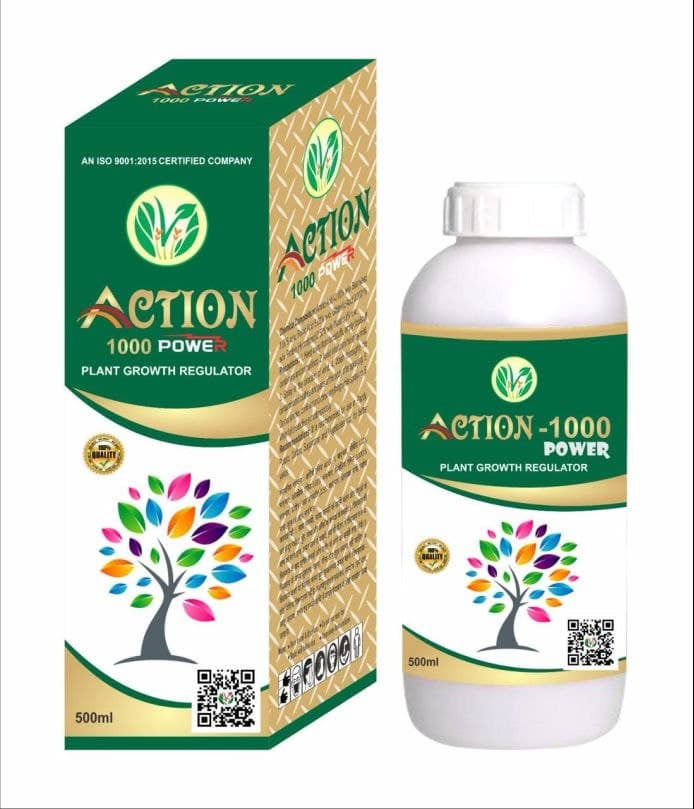 Action 1000 Power